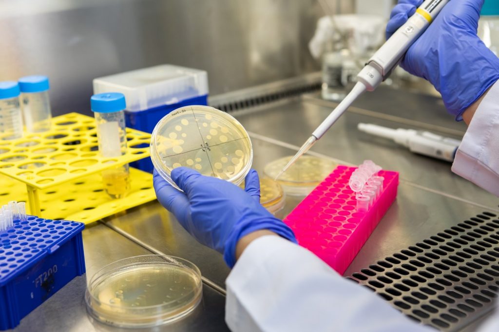 Mikrobiyoloji laboratuvarı görseli